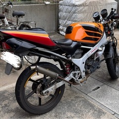 ご覧いただきありがとうございます。  引越しのため手放すことにしました。 3月20日までに福岡に引き取れる方お願いします。の画像
