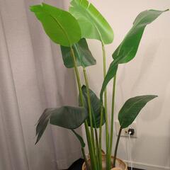 ★9日まで値下げ★フェイクグリーン　観葉植物