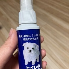 トイレのしつけスプレー