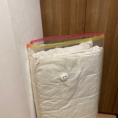 シングル 敷き布団 3月末締切