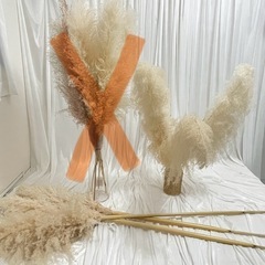 ドライフラワー パンパスグラス ミモザ  まとめ売り 大量  の画像