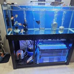 水槽　水槽台付き　1200×450×450