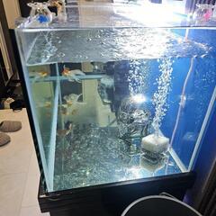 水槽　水槽台付き　1200×450×450の画像