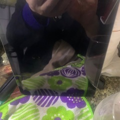 【中古】iPad mini 第4世代 64GB Wi-Fiモデル の画像