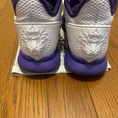 NIKEレヴロン
の画像