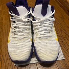NIKEレヴロン
の画像