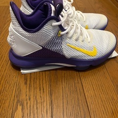 NIKEレヴロン
の画像