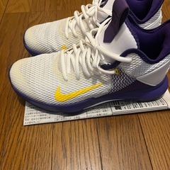 NIKEレヴロン
