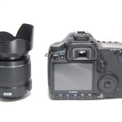 届いてすぐ使える Canon 40D レンズキット 高速連写 初心者オススメの画像