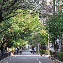 散歩・散策をしながら話しませんか。