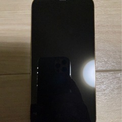 iPhone12ProMax/256GB