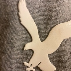 美品パーカーの画像