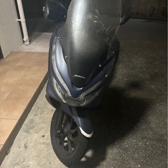 pcx81