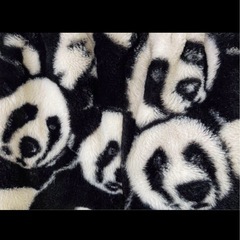 未使用品 　子供服 3点セット 100～110の画像