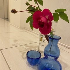 日本酒の会