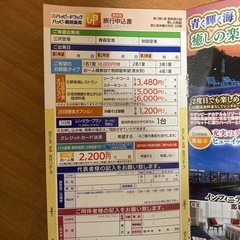 沖縄旅行特別価格の画像