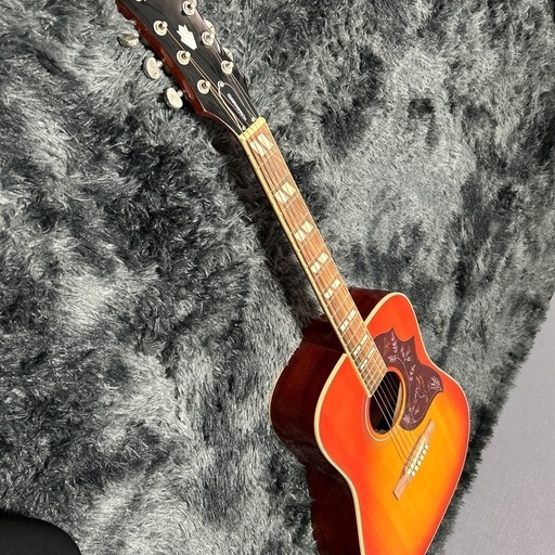 epiphone. ギター