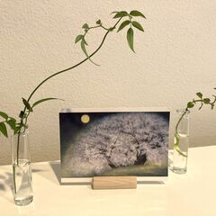 小さい試験管　３本で２５０円の画像