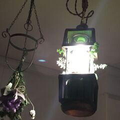 USED 高級品　下段に植物がが仕込めるガラスと流木木製の天井ペ...