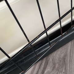 受け渡し決定ペットケージの画像