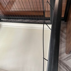 受け渡し決定ペットケージの画像