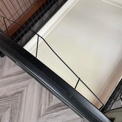 受け渡し決定ペットケージの画像