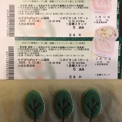 3/13ソフトバンク×巨人戦　最終価格2枚セット1500円！！