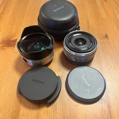 SONY フィッシュアイコンバーター VCL-ECF1 + 単焦...