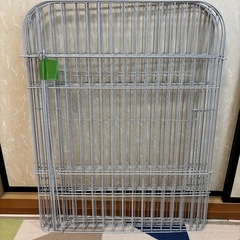 ラビットサークルの画像