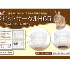 ラビットサークルの画像