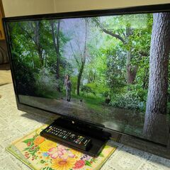 決定 【新生活応援】美品 Mitsubishi/三菱 液晶テレビ REAL LCD-32LB8 2022年製 32型 地上 BS 110度CSデジタルハイビジョン B-CAS付 美品 現行品 動作確認済み の画像
