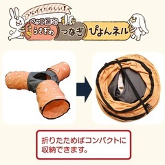 うさぎ　トンネルの画像