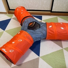 うさぎ　トンネルの画像