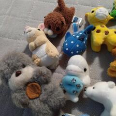 小さな動物園（マグネット）の画像