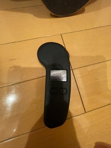 MEEPO電動スケートボード リモコン付き MEEPO電動スケートボード リモコン付き MEEPO Mini 2 電動スケボー