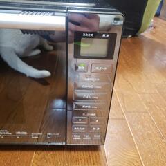 電子レンジ　中古品　実働品の画像