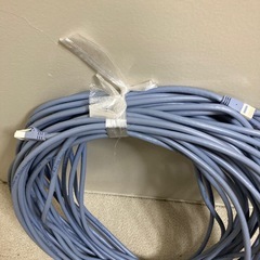 LANケーブル30mカテゴリー6Aの画像