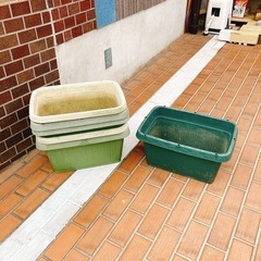 植木鉢　3個セット　家庭菜園　　ガーデニング