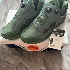 ほぼ新品Reebok INSTAPUMP FURY 95 GRE...
