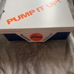 決まりました。ほぼ新品Reebok INSTAPUMP FURY 95 GREEN/BLACK の画像