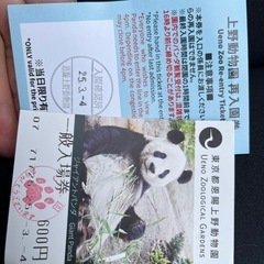 上野動物園チケット パンダ