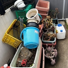 プランターなど【受け渡し予定者がいます】