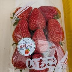朝採れ！完熟いちごパックの画像