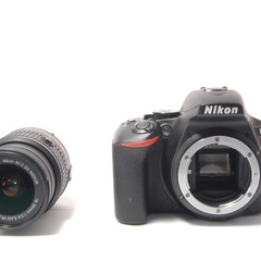 ✨美品✨Nikon D5500 レンズキット Wi-Fi搭載機種 D5500 - 概要 | 一眼レフカメラ | ニコン