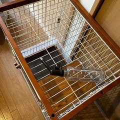犬猫ケージ
の画像