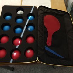 ボッチャボールの画像
