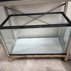 水槽　60cm