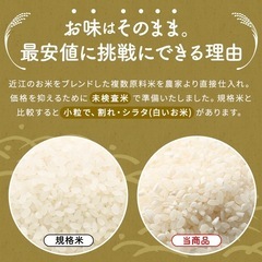 令和6年産　近江ブレンド米10kg 圧倒的な価格に挑戦！の画像