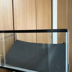 GEX 水槽 横60cm 高さ36cm  奥行30cm