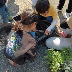 ☘️🌈社会に貢献する活動をする為に行っているメダカ・昆虫チャリテ...
